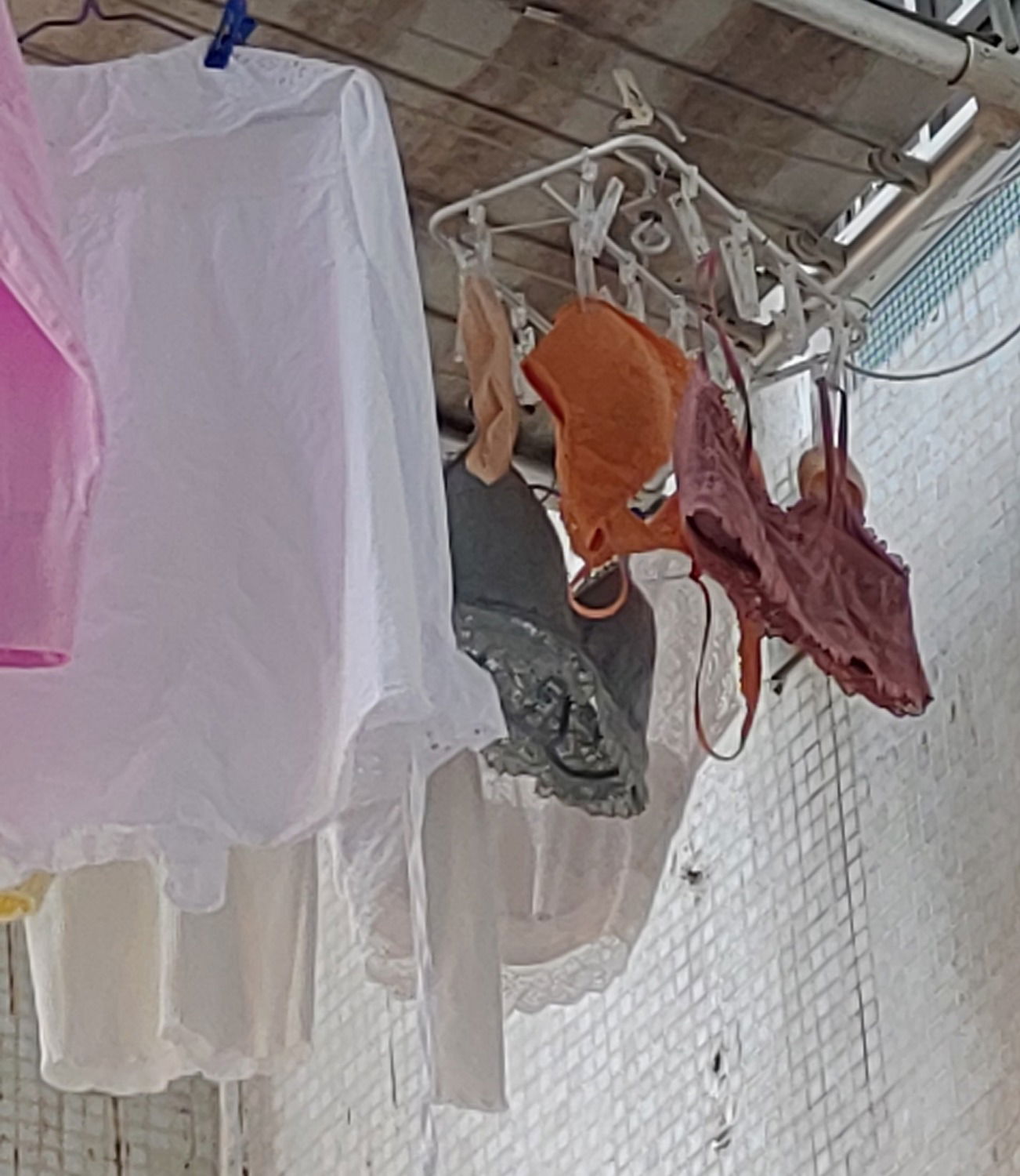 P_20230311_143112_1.jpg