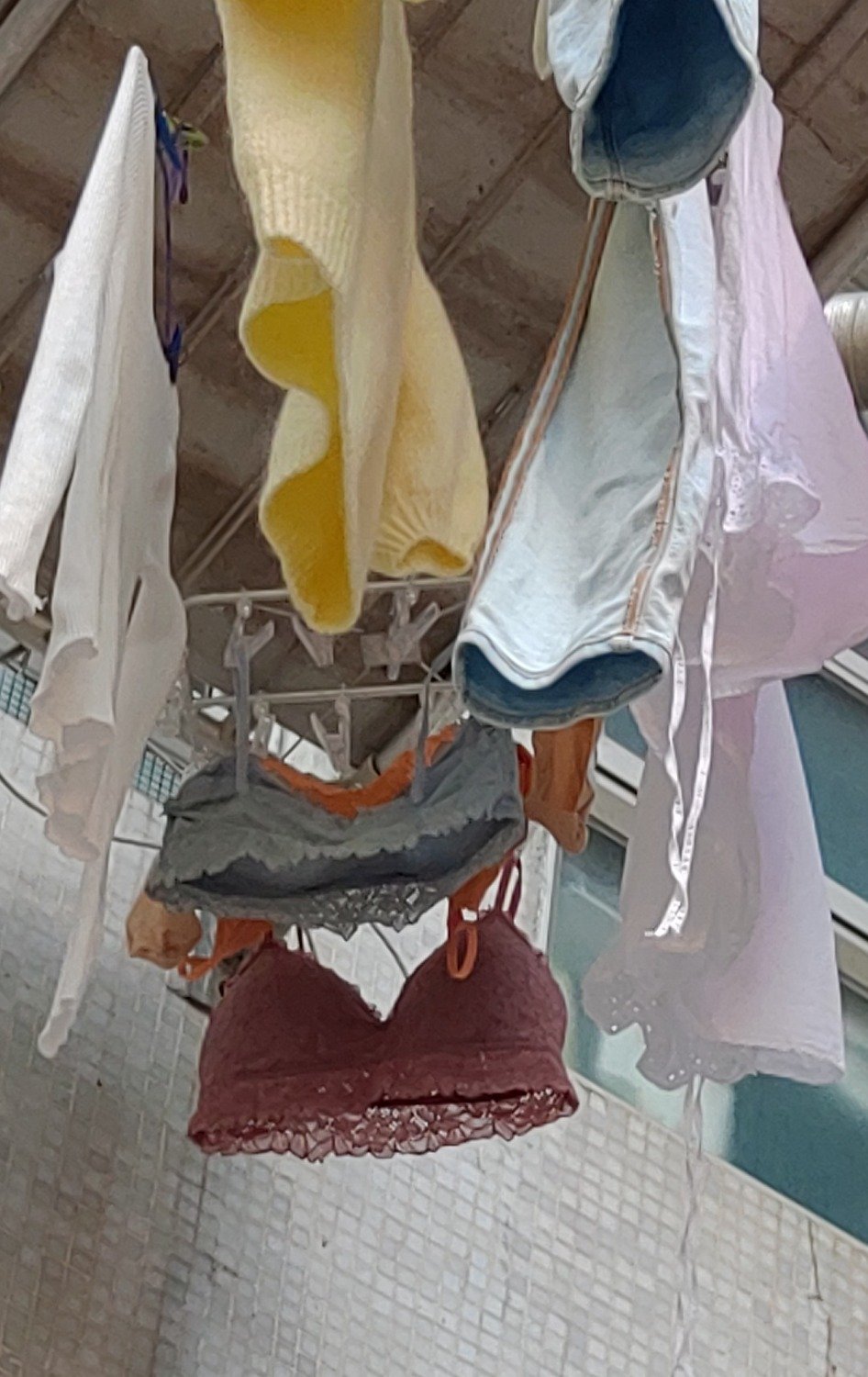 P_20230311_160039_1.jpg