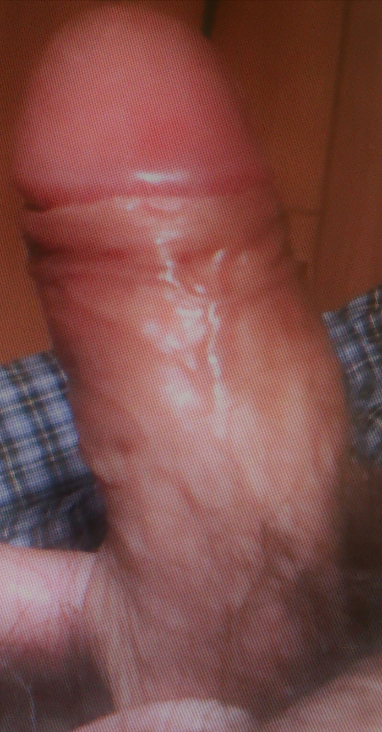 DSC_0803.jpg