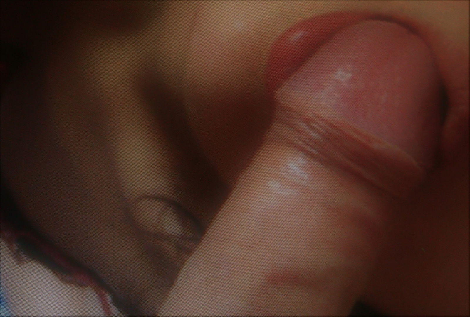 DSC_0804.jpg