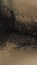 dWgz9Nf2.gif