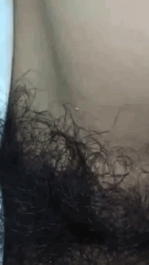 zwUQ7dgV.gif