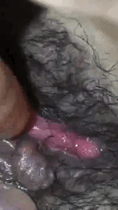 cMUV1577.gif