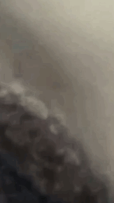 kWDQSFa0.gif