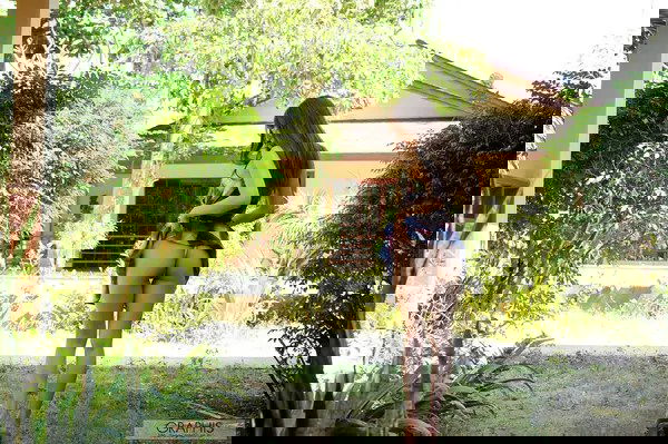 YUsrUDBZWTV1MDVWZkFmUXBEZmVGSkUrbVMxVEVLT05kSVhkOXBqem9rNFVhMnNoVnpYcnllcUd6N3RH.jpg