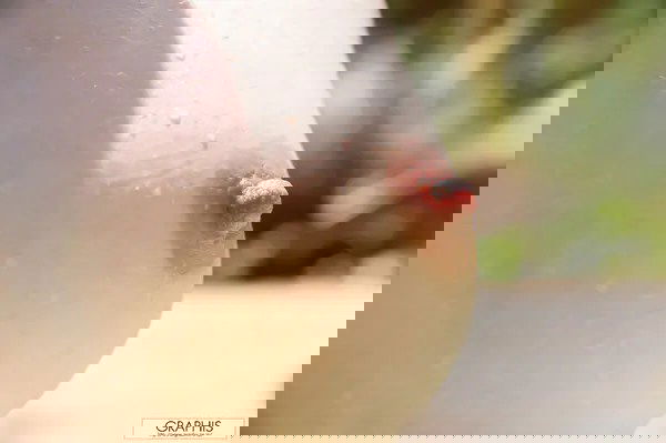 YUsrUDBZWTV1MDVWZkFmUXBEZmVGSkUrbVMxVEVLT05kSVhkOXBqem9rNkxmK2U2RXZQSHpGMUNKMFY2.jpg