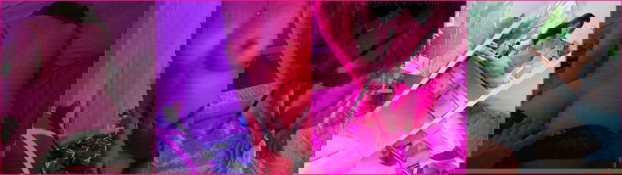 xlea96.jpg