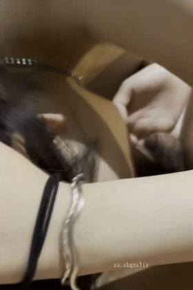 2 (3).gif