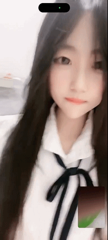 2 (1).gif