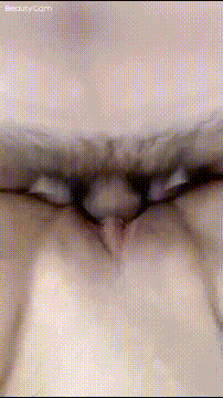 2 (2).gif