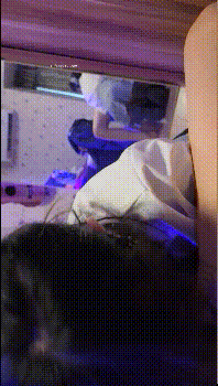 2 (1).gif