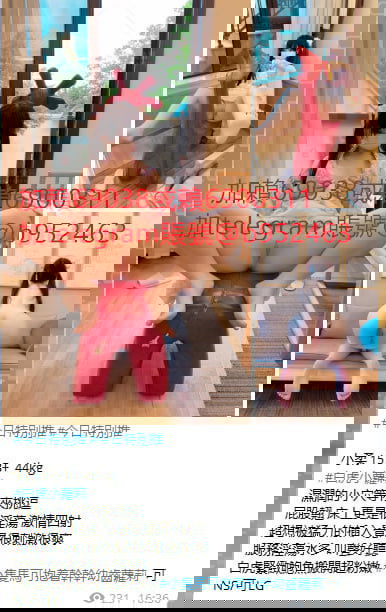 1..jpg