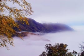 華山