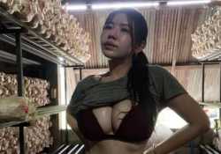 久違的越南妹子
