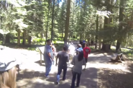 To The Nature