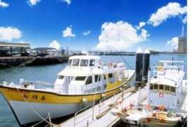 梧棲假日魚市