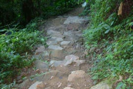 溪州山登山步道