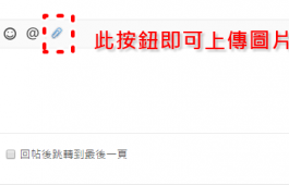 至本板塊商家消費送暢遊會員