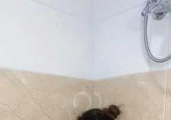 小母狗
