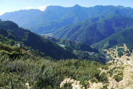 梨山