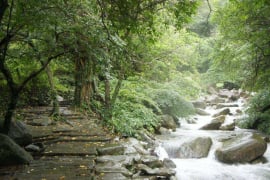 草嶺古道