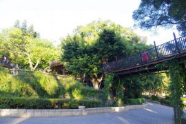 虎頭山公園