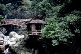 龍谷天然樂園