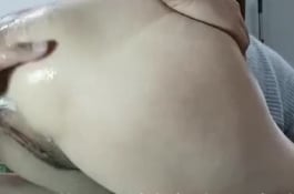 這菊花開了四指...