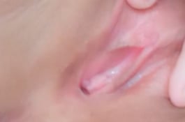 高級鮑魚..乾淨無雜質