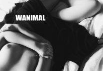 WANIMAL系列圖片