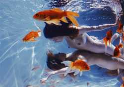 魚兒魚兒水中游