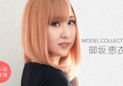 モデルコレクション