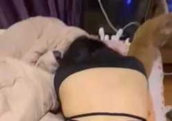 肥臀絲襪後入