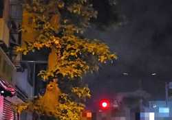 陳翊琳晚上在大馬路旁邊裸體洗澡自拍