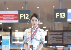 美女空服員