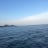 佛罗里达的有没有